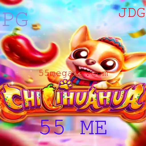 Descubra 'CHILIHUAHUA': O Jogo de Cartas Que Está Conquistando o Mundo